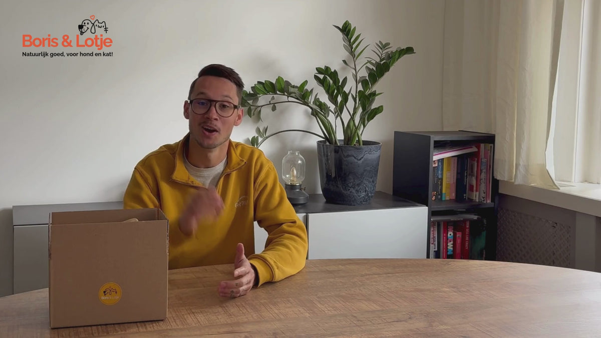 Deluxe-Welpenpaket – Natürliches Kauen und Spielen