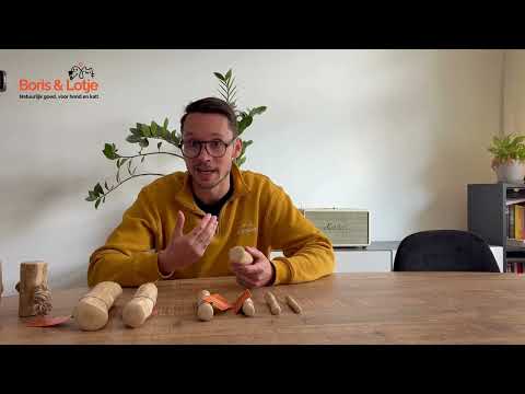Kaustab Kaffeeholz mit Kokosfaser XL - Pro Stück