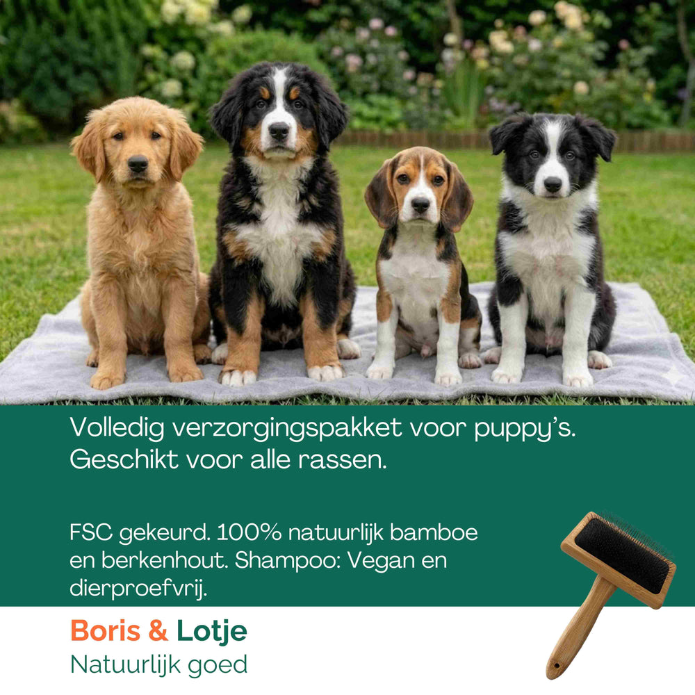 Welpen-Pflegeset – Hundebürste, 2 Kämme & Welpen-Shampoo
