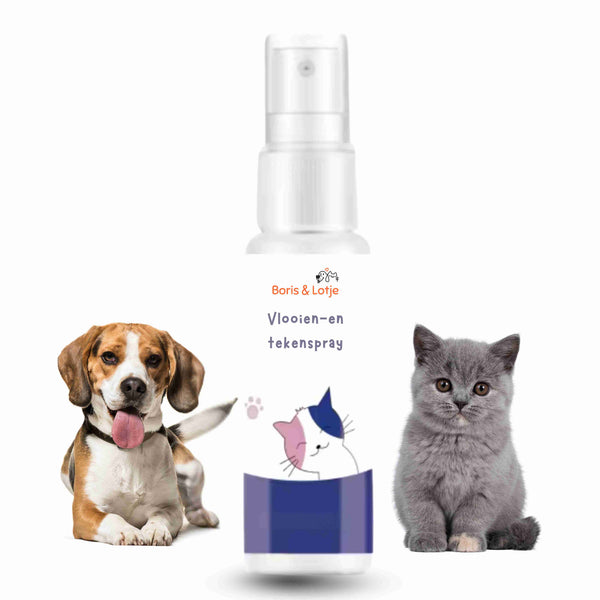 Flohspray und Zeckenspray für Hund und Katze – 100 % natürlich